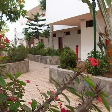 Novacattleya * Playa de las Americas (Tenerife)