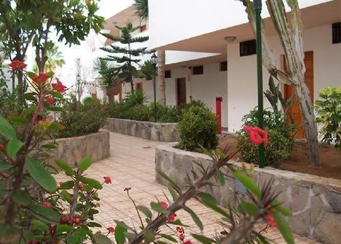 Novacattleya * Playa de las Americas (Tenerife)